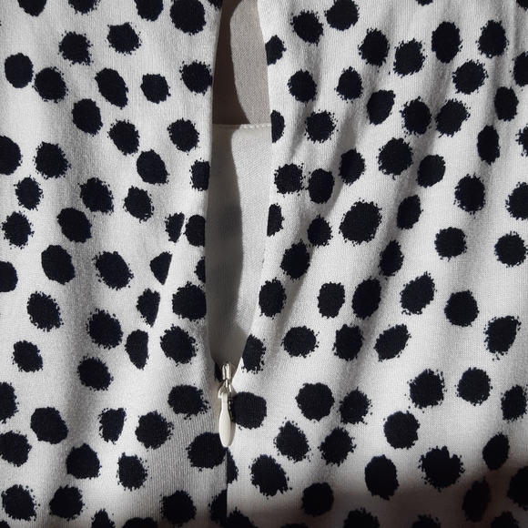 Ann Taylor Loft Dress - Picture 5 of 8